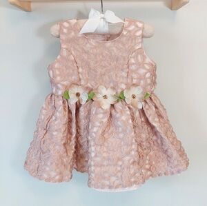 Jayne Copeland Lace Embroidered Dress Champagne Blush 2T Baby Girl Toddler